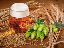 Hacer cerveza en casa